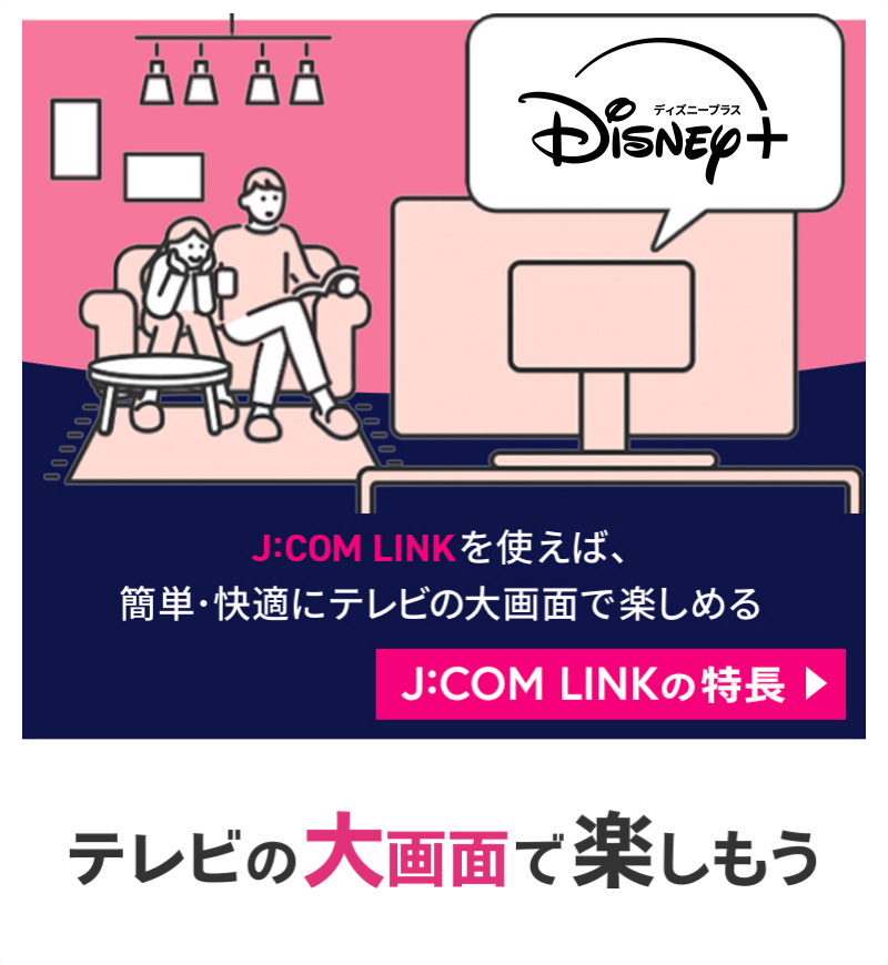 テレビの大画面で楽しもう