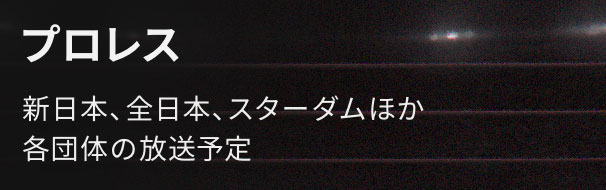 プロレス